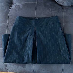 Banana Republic PinStripe Skirt